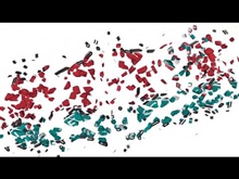 Parrot Software Introduction 