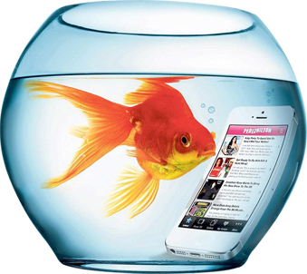 Smart Fish in Fish bowl