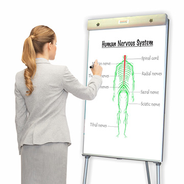 Drawings and Charts on a Flipchart