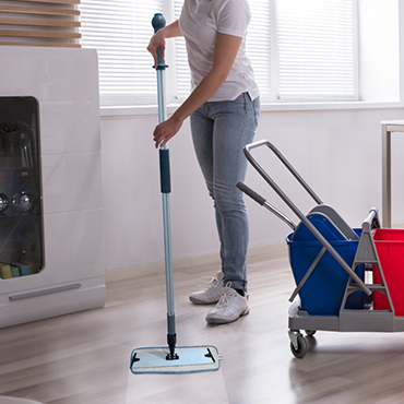 Janitorial Sweep Mop