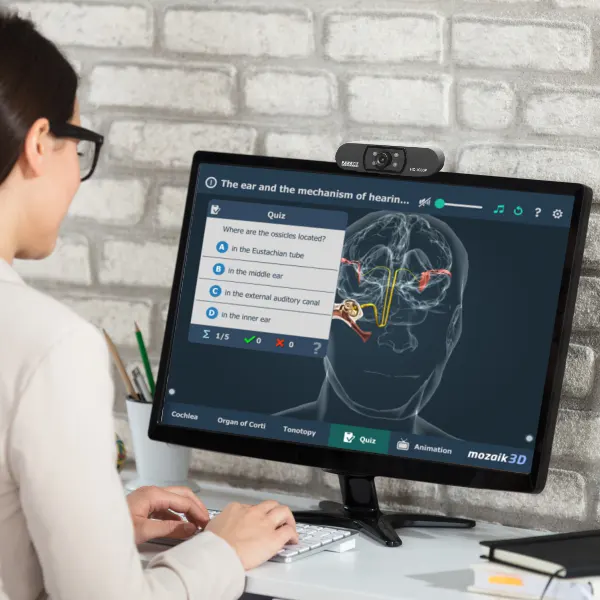 Live and Interactive Classrooms Lifestyle 3