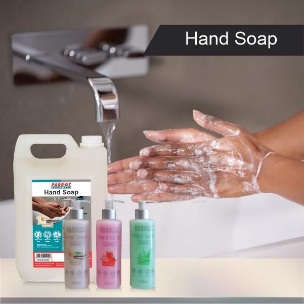 Hand Soap Lifestyle