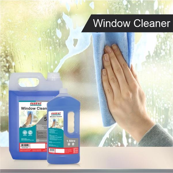 Cleaning Window with Parrot Window Cleaner