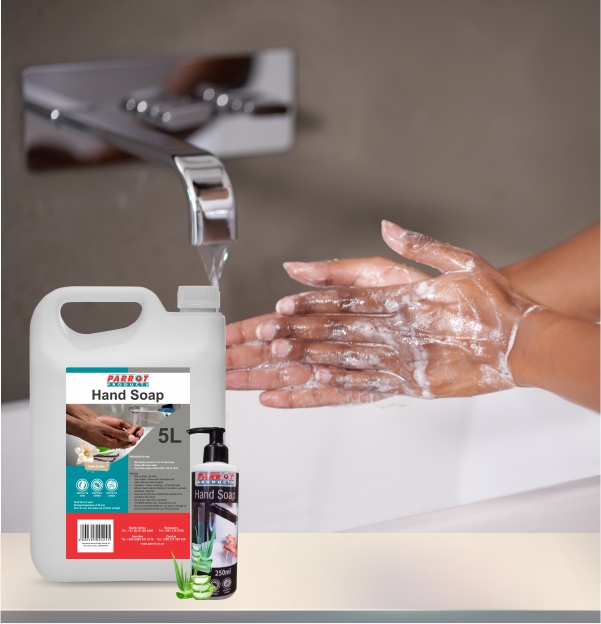 Hand Soap Lifestyle