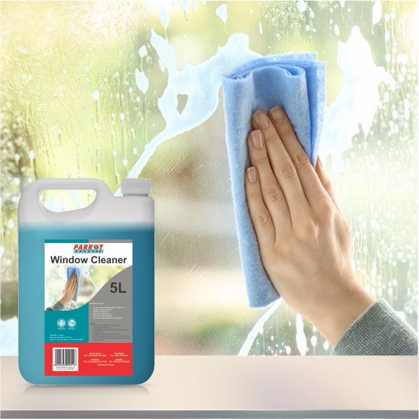 Cleaning Window with Parrot Window Cleaner